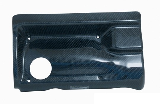 http://tuning-garage.cz/foto/Carbon-kryt-motoru/raid220007.jpg