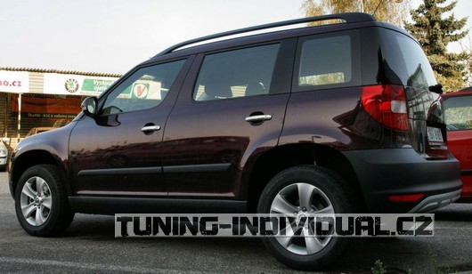 http://tuning-garage.cz/foto/YET-DHC-1.jpg